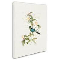 Védjegy Szépművészeti „Színes kolibri iv” vászon művészet, Katie Pertiet