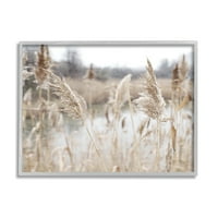Stupell Industries vidéki Pampas Grass Reeds Lakeside Pond Marsh Fotó Szürke Keretes Art nyomtatott fali művészet,