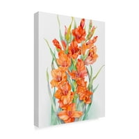 Joanne Porter, a Hot Orange Gladiolus 'vászon művészetének védjegye