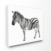 Stupell Home Dekor Zebra álló fekete -fehér akvarell állati festmény vászon fal művészet: Jennifer Goldberger