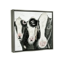 Stupell három tehén farm portré trió állatok és rovarok festés szürke úszó keretes művészeti nyomtatott fali művészet